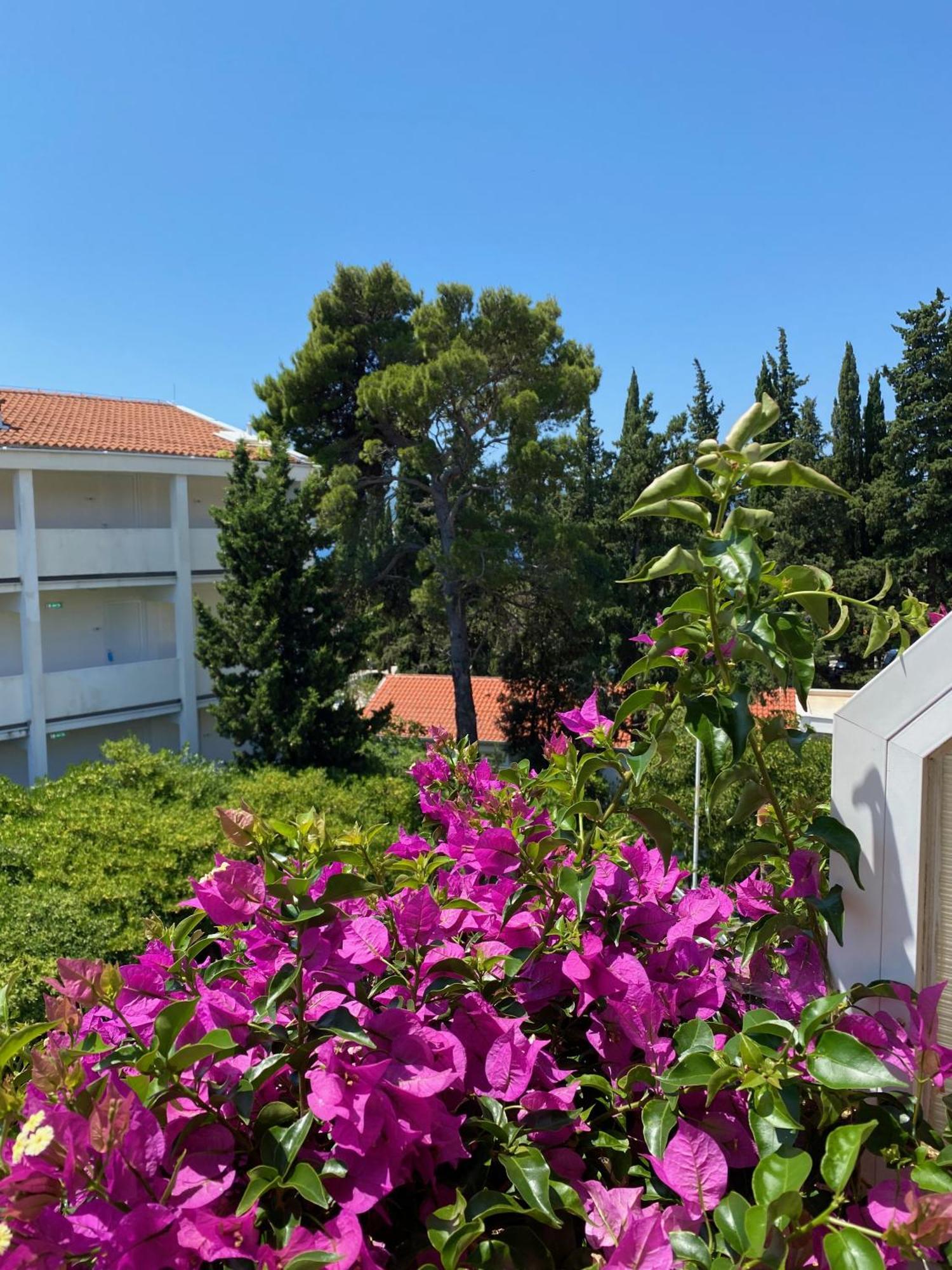 Apartmani Dusanka Orebić Kültér fotó